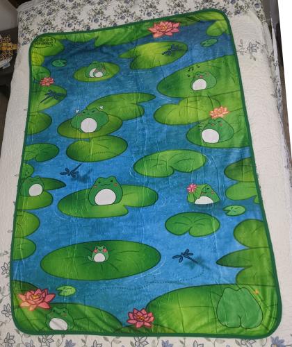 PondPlayground Blanket